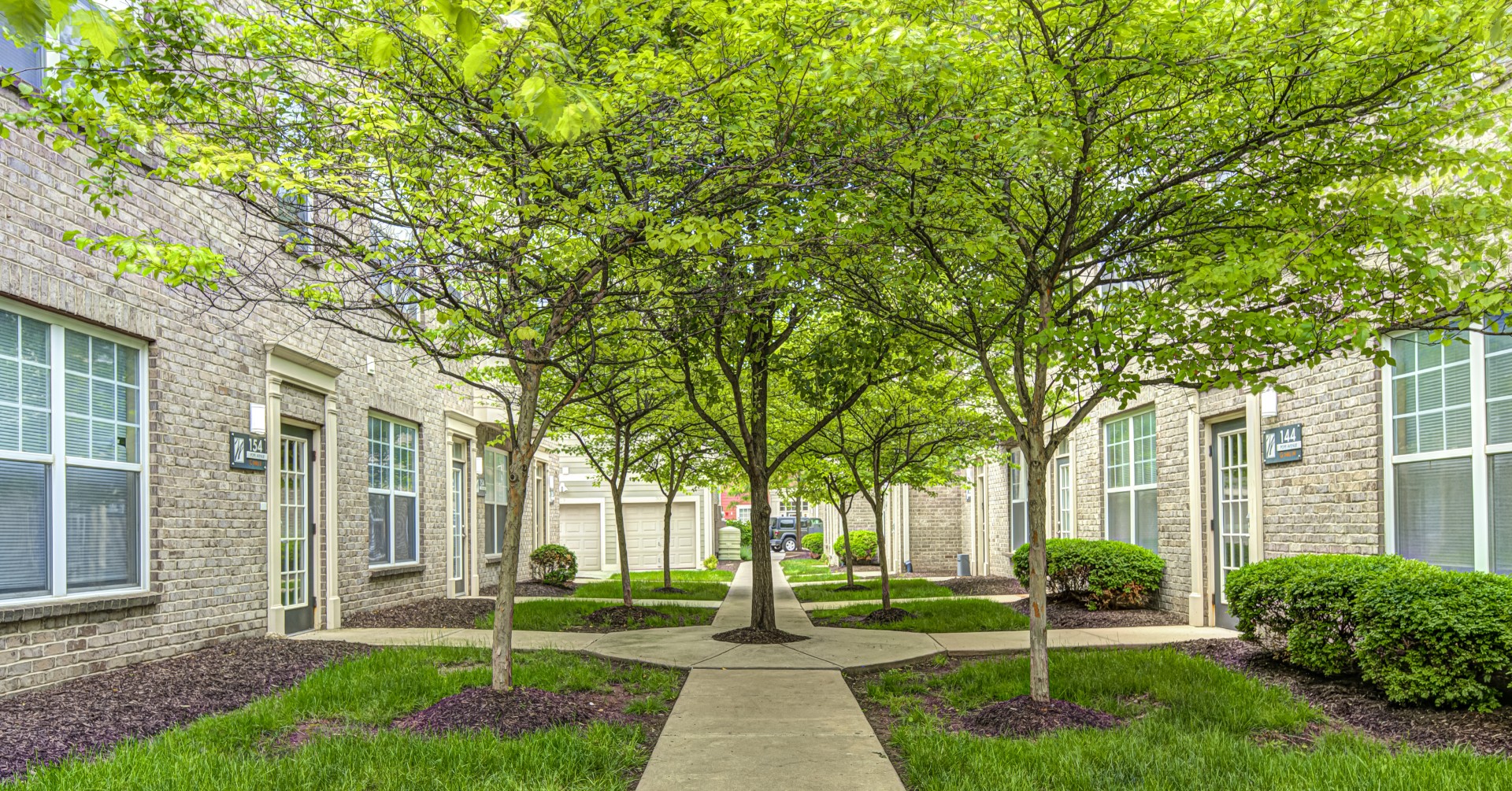 The Waverley Grounds